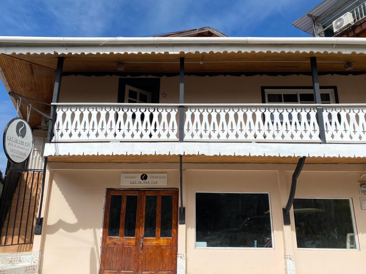 Cat In The Cup B&B Bocas Town Exterior foto