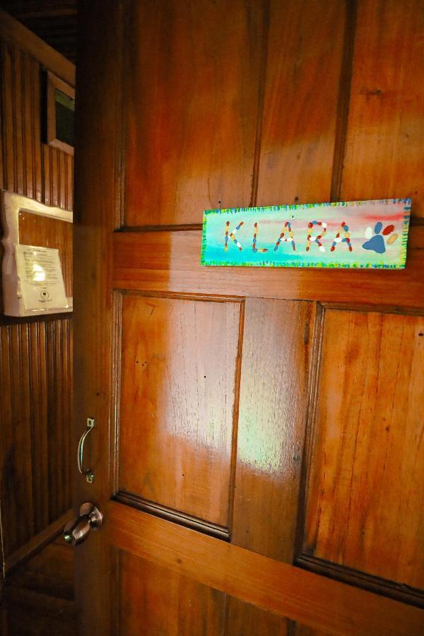 Cat In The Cup B&B Bocas Town Exterior foto